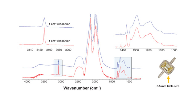 Ren Lu G&G