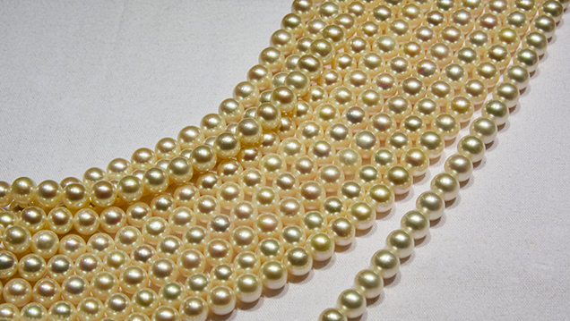Tissue-nucleated Chinese freshwater cultured pearl strands
