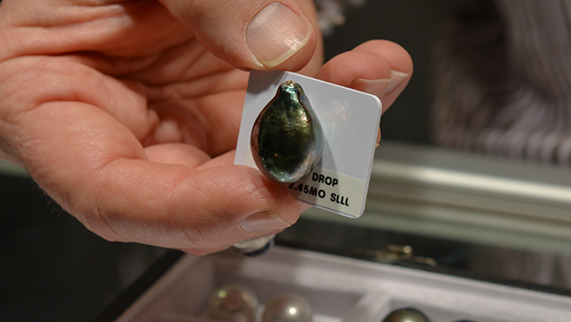 Tahitian Sea cultured pearl