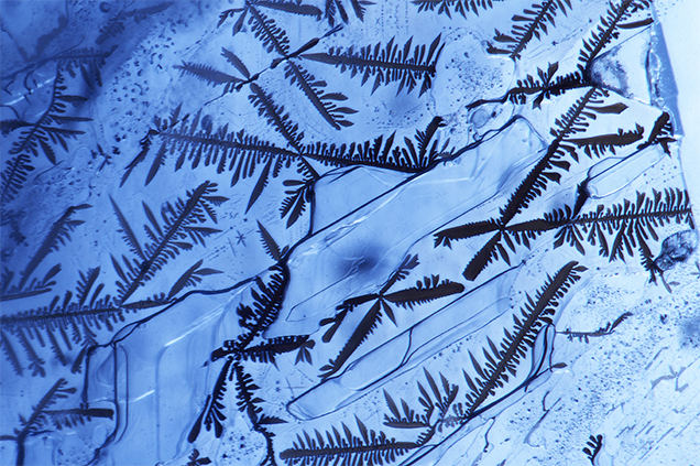 Dendritic inclusions in sapphire. Dendritic inclusions in sapphire.