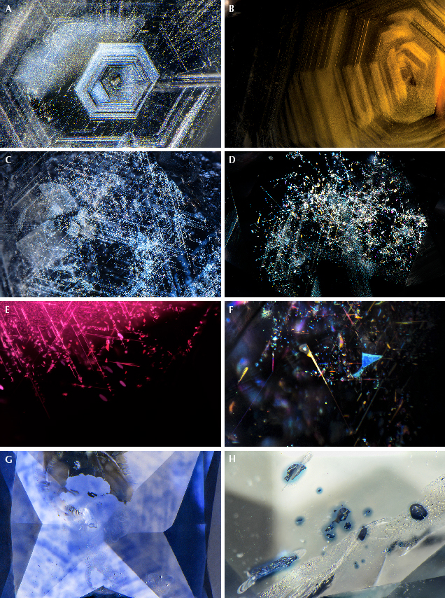 A series of abstract, colorful microscopic images showcasing various crystalline structures and patterns. A series of abstract, colorful microscopic images showcasing various crystalline structures and patterns.