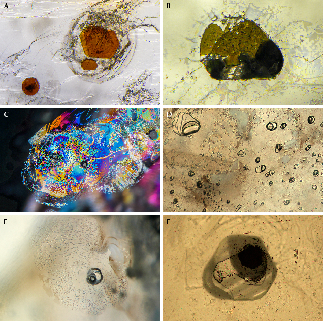 Microscopic images showcasing various mineral samples and structures, featuring colors and textures. Microscopic images showcasing various mineral samples and structures, featuring colors and textures.