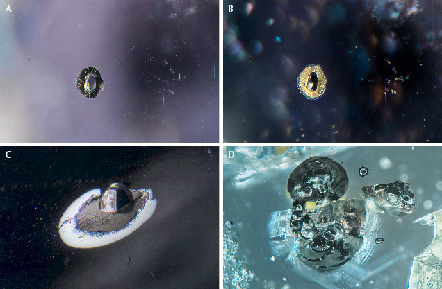 Four microscopic images showing various mineral structures, each with distinct shapes and textures. Four microscopic images showing various mineral structures, each with distinct shapes and textures.