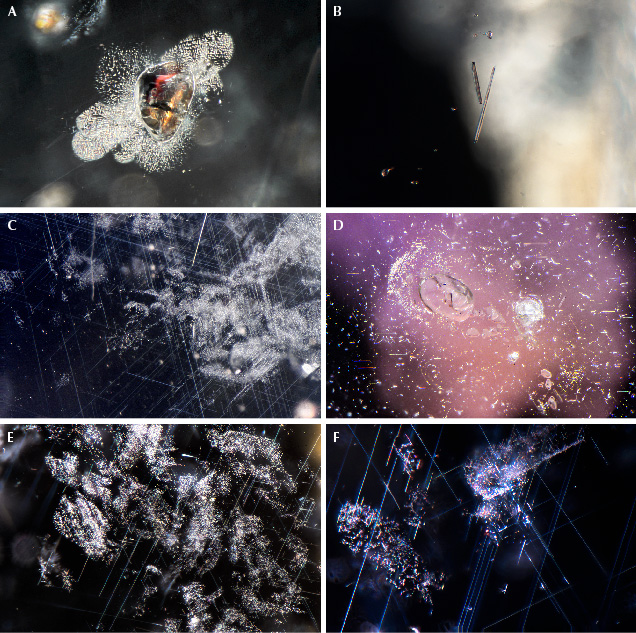 Microscopic images showing various particles and structures, including organic materials and crystalline formations. Microscopic images showing various particles and structures, including organic materials and crystalline formations.