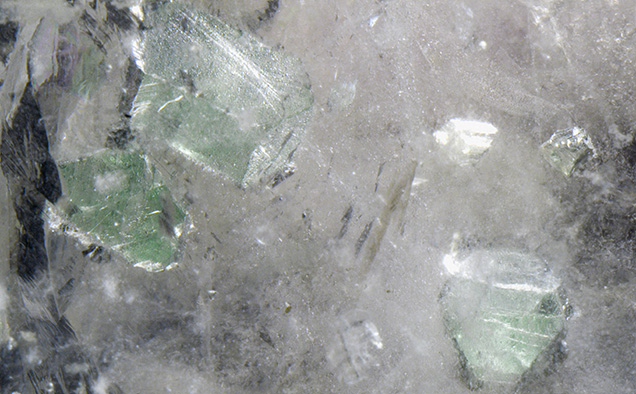 Figure 2. Scattered transparent to translucent, near-colorless to apple green crystals of isometric fluorite, the largest measuring 11.2 mm. The fluorite inclusions fluoresce a strong blue when exposed to UV radiation. Photomicrograph by Nathan Renfro; field of view 32 mm.