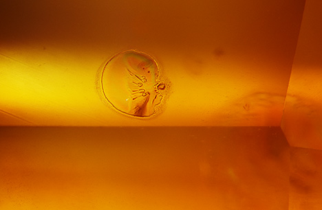 Additional evidence of heat treatment in this small crystal with a melted appearance. Additional evidence of heat treatment in this small crystal with a melted appearance.