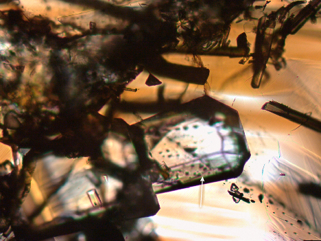 Figure 14. A mica inclusion (indicated by the arrow) in Yunling cassiterite sample C-G17. Photomicrograph by Wenqing Huang; field of view 1.13 mm.