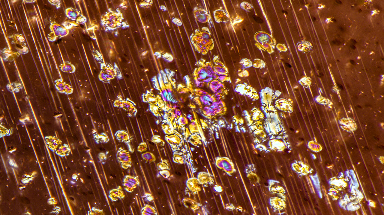 Figure 1. Reflected light reveals the metallic luster of these colorful inclusions in an Oregon sunstone. Photomicrograph by Rosie Young; field of view 1.26 mm. Courtesy of GIA Museum, collection no. 4735.