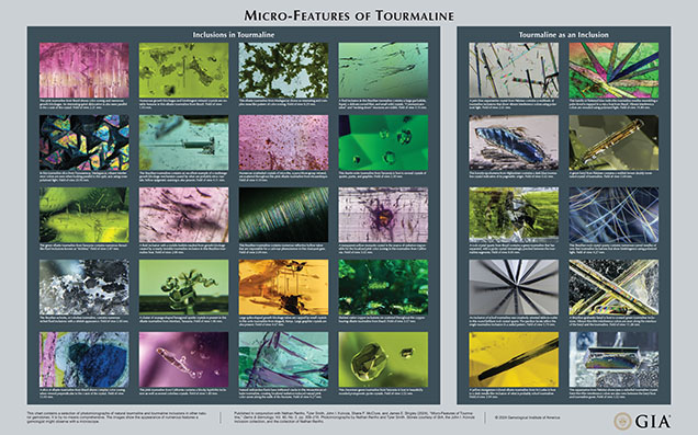 This chart contains a selection of photomicrographs of natural tourmaline and tourmaline inclusions in other natural gemstones. It is by no means comprehensive. The images show the appearance of numerous features a gemologist might observe with a microscope. Published in conjunction with Nathan Renfro, Tyler Smith, John I. Koivula, Shane F. McClure, and James E. Shigley (2024), “Micro-Features of Tourmaline,” Gems & Gemology, Vol. 60, No. 2, pp. 208–210. Photomicrographs by Nathan Renfro and Tyler Smith. Stones courtesy of GIA, the John I. Koivula inclusion collection, and the collection of Nathan Renfro.