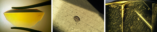 W16-LN-figure-21-Comp_210856-636x130.jpg. Photomicrographs of doublets