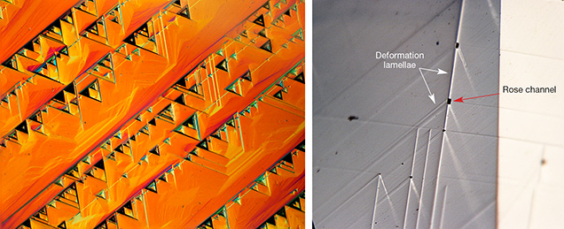 Features on deformation lamellae in pink diamonds Features on deformation lamellae in pink diamonds