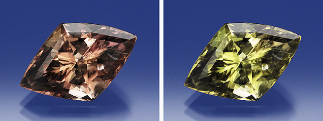 Color-change diaspore