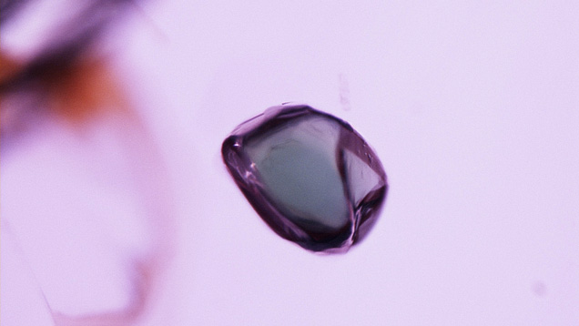 Grayish green amphiboles