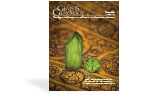 {Download this issue} - image