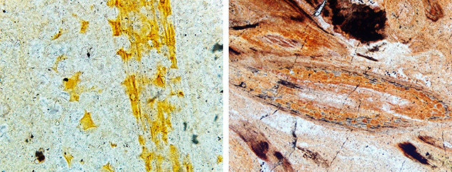 Figure 13. Impurity minerals surrounded by the weathered shell of S5 and S6, respectively. Left: These yellow color iron compounds were not positively identified by Raman spectroscopy. Right: Hematite was identified using Raman analysis. Photomicrographs by Han-Yue Xu; fields of view 0.10 mm (left) and 0.48 mm (right).