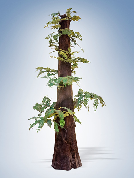 Figure A-1. Tempskya sp. reconstruction. Illustration by Matteo De Stefano/MUSE; courtesy of MUSE - Science Museum of Trent in cooperation with Wikimedia Italia.