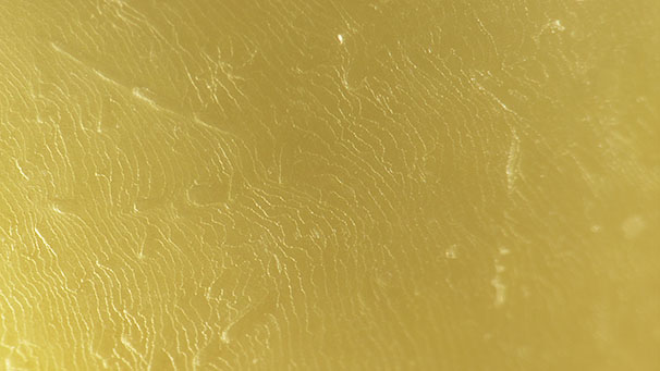 Surface of a Pinctada maxima pearl; field of view 4.79 mm.