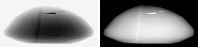 Two side-by-side images of a smooth, dome-shaped object, one in grayscale and the other in inverted colors. Two side-by-side images of a smooth, dome-shaped object, one in grayscale and the other in inverted colors.