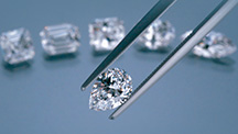 Graduate Diamond Diploma