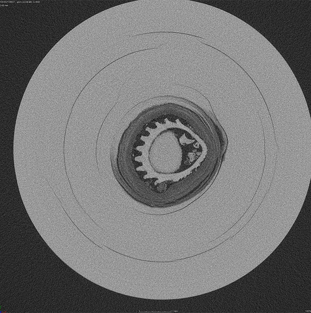 μ-CT image slices of natural pearl μ-CT image slices of natural pearl