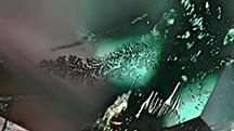 These dendritic patterns in a partially filled fissure in an emerald resemble natural foliage, also known as jardin. Photomicrograph by Sameer Din Faqir; field of view 2.50 mm.