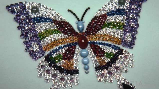 A multi-colored butterfly. A multi-colored butterfly.