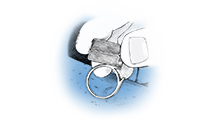 Working with Platinum: Tools and How To Avoid Contamination