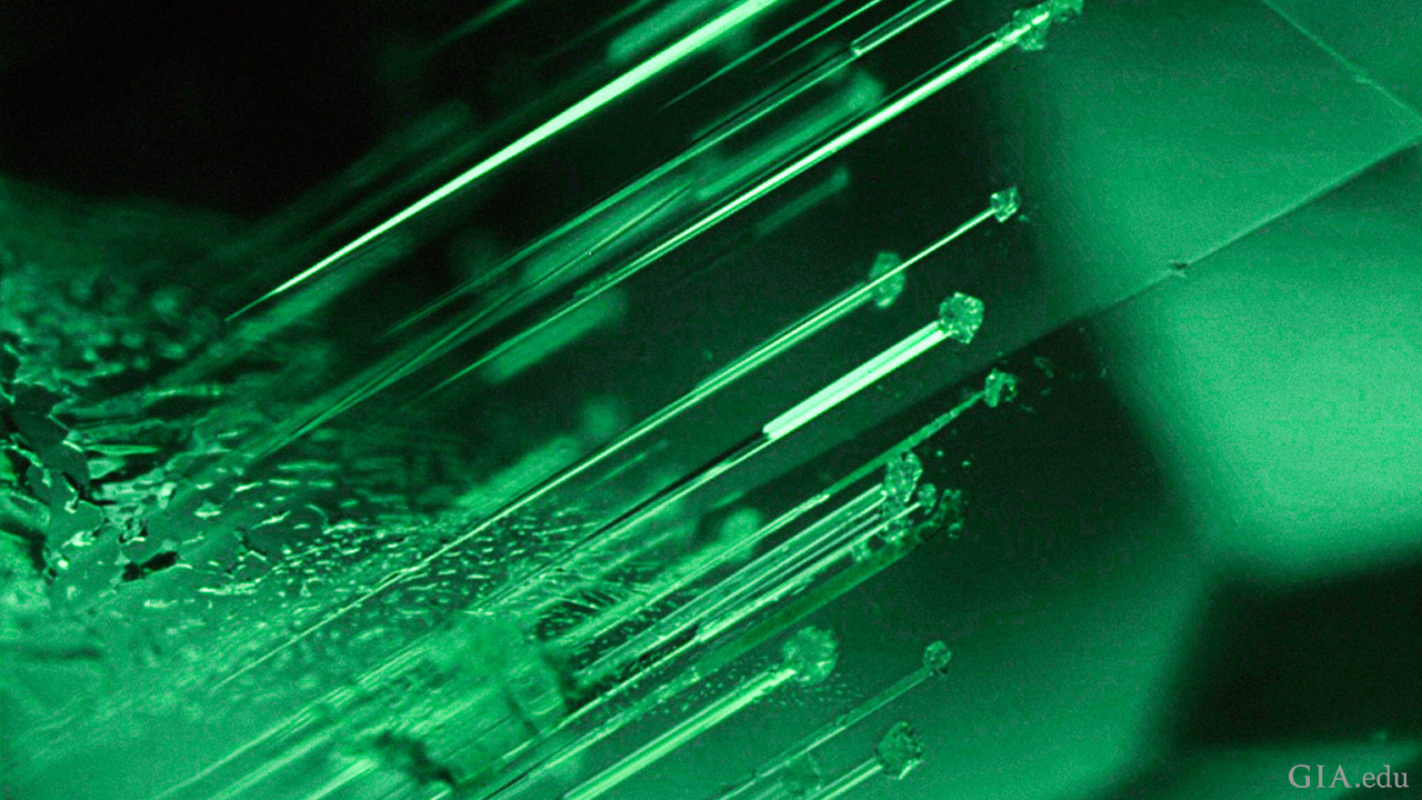 211083-nail-head-spicules-1280x720.png
