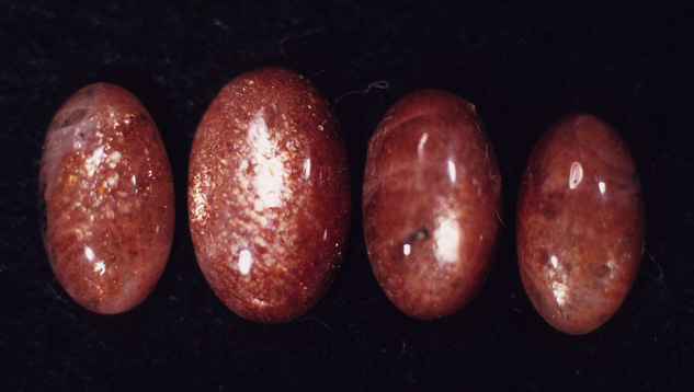 These oligoclase sunstone cabochons display an attractive aventurescent sparkle. – Edward Gubelin, courtesy Dr. Edward J. Gübelin Collection