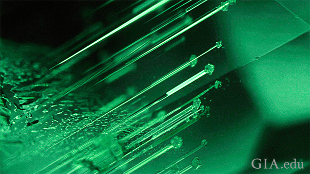Nail-Head Spicules