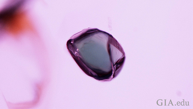 An oval shaped mineral inclusion in a ruby.