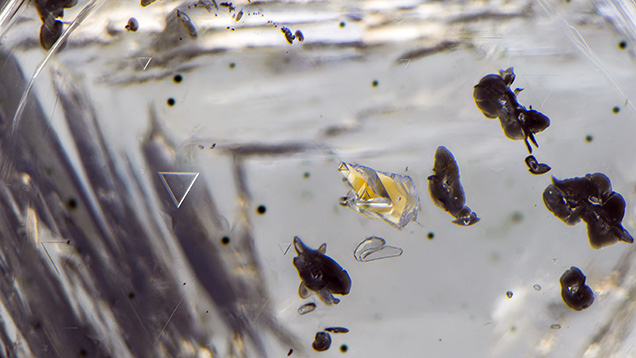 Figure 2. This yellow-orange transparent crystal of almandine-pyrope garnet is a very rare inclusion in diamond. The example shown here has a typical somewhat rounded habit. Photomicrograph by Nathan Renfro; field of view 3.84 mm.