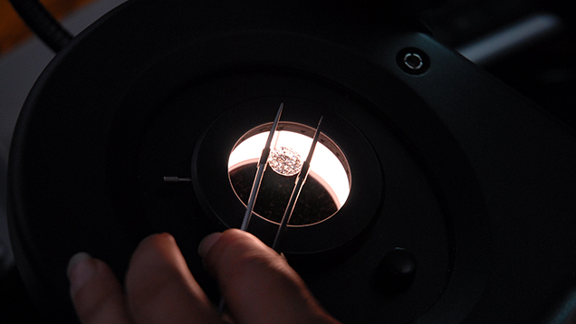 A diamond held with tweezers under darkfield illumination A diamond held with tweezers under darkfield illumination