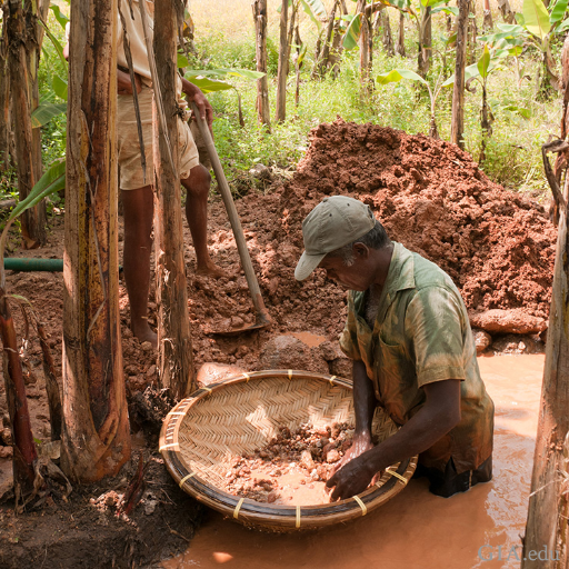 An artisanal miner searches through a basket for the December birthstone, zircon, in a muddy river in the Elahera region of Sri Lanka.
