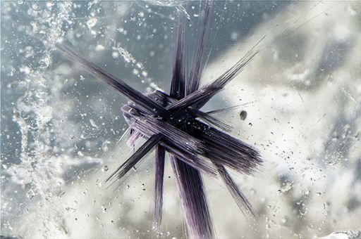 Quartz crystals with rutile tufts.