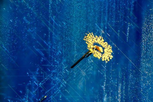 Sapphire inclusion scene resembling a flower.