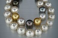 Pearls E-learning Pearls E-learning