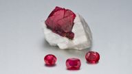 Various Cuts of Rubies