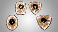 Four trapiche-like amethyst cabochons. Four trapiche-like amethyst cabochons.