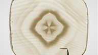 Diamond from Jericho eclogite and Juina superdeep diamond Diamond from Jericho eclogite and Juina superdeep diamond